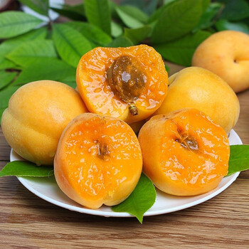 美果汇大黄杏杏子新鲜水果2斤