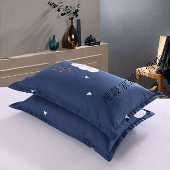 枕套枕头套拉链家用大号学生宿舍单人枕套一个装 欢喜云(信封式) 48*