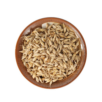 原料生麦芽中药材大麦芽500g克回奶调理脾胃双芽水脾胃双芽水