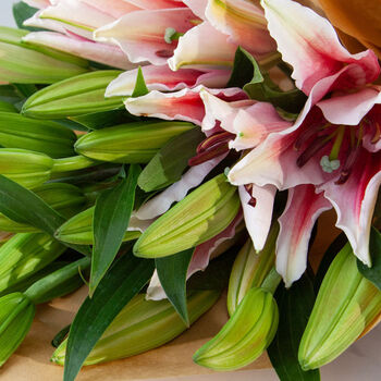 云南直发香水百合鲜花水养真花花束家用插花 粉百合10个花头 附保鲜剂