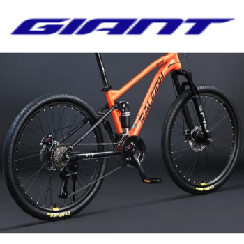 giantxtc800图片