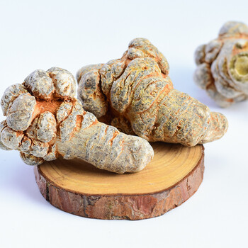 云南文山20头三七特级田七头无剪口三七整头新三七果三七干果20头三七