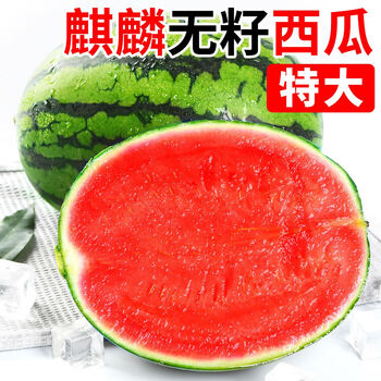 三倍体无籽西瓜(三倍体无籽西瓜是新物种吗)