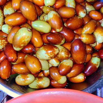 「现货」脆甜现摘子弹头枣冬枣马牙枣金丝蜜枣长枣大红枣鸡心枣子 3斤