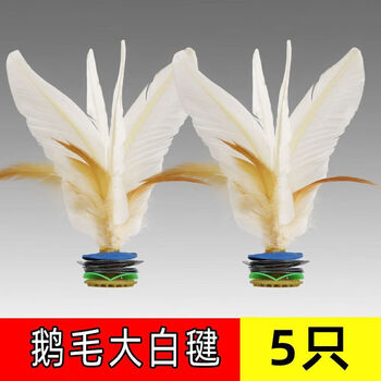 绿简堂冰王子大白毽子比赛成人儿童小学生腱子运动键子毽球踢毽子 (5