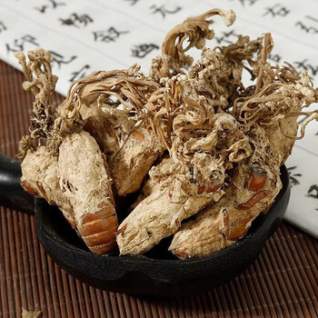 北京原料金蝉花 野生新货中药材婵花蝉花虫草孢子粉知了花金蚕花禅花