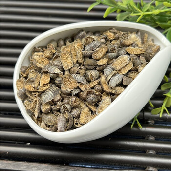 鼠妇虫 药材 潮虫 团子虫 地虱婆 地虱子新货500克 农产品 非食用 250