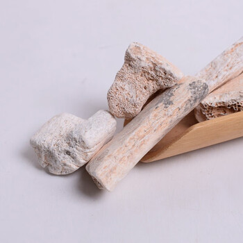 中药材白龙骨五花龙骨锻龙骨龙骨500克