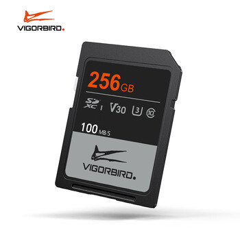 VIGORBIRD SD存储卡U3 C10 4K数码相机内存卡写速90MB/s 支持V30视频内存卡 256GB 翼龙系列
