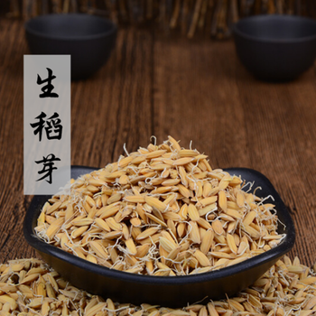 生稻芽500g另有稻芽粉生麦芽炒稻芽双芽水稻芽谷芽泡茶双牙水