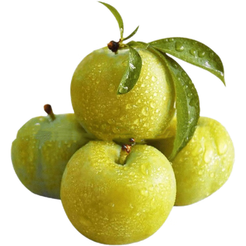 【抄】陕西秋姬李子青脆李新鲜奈李水果脱骨李茵红李批发三华 1斤尝鲜