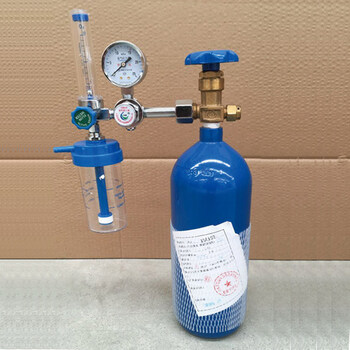 tificy保健器械店2l便携式医用供氧器4升家用小氧气瓶家庭吸氧气罐2升