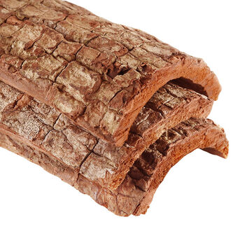 正卡宾达树皮非洲男性卡槟达kuba树皮500g促销装送250g玛咖卡宾达树皮