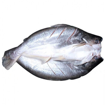 整条开背巴沙鱼4条新鲜冷冻龙利鱼湄公鱼1条 1斤左右/条 2条装