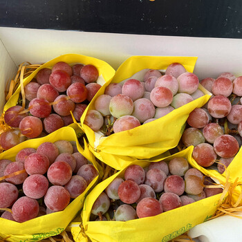 jd物流2021现货妮娜皇后红晴王纯甜多汁好吃网红新鲜水果团购礼盒2斤