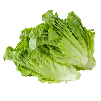 【其他品牌】春菜 400g【行情 报价 价格 评测】-京东