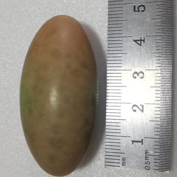 天然夜光石夜明珠原石萤石荧光石头鹅卵石发光奇石礼物摆件鱼缸 4-5