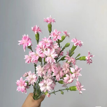 鲜花直发真花家庭插花【多头康乃馨】20枝/扎多品种可选 粉色星太子 b
