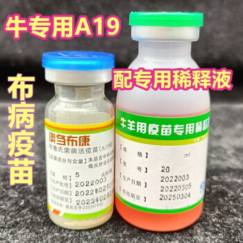 牛专用布病疫苗a19株澳刍布康布鲁氏菌活疫苗坤昱代理牛用布病疫苗5头