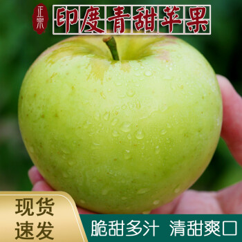 【现货速发】山东烟台青苹果 正宗印度青 新鲜脆甜水果5斤 严选大果 5斤