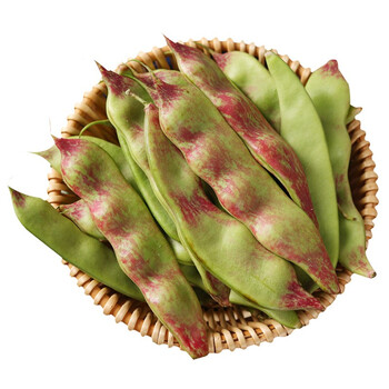 东北油豆角一点红油豆角面豆角新鲜九月青面豆角开锅烂食用农家蔬菜