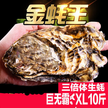 3 低商品评价:评分详细关注店铺橙臻鲜官方旗舰店>橙臻鲜>生蚝>贝类>