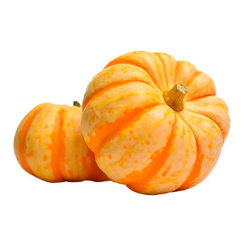 妮姬山东迷你小南瓜贝贝黄南瓜橘色新鲜小金瓜桔瓜万圣节南瓜灯太阳果