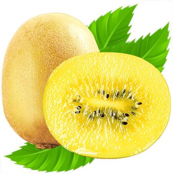 黄心猕猴桃12个金桃金艳金果黄金奇异果猕猴桃新鲜水果6个小果5070克