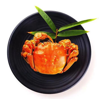 活蟹8只大闸蟹4两鲜活新鲜母公河蟹水产湖蟹螃蟹