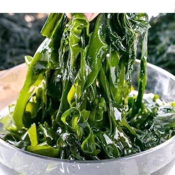 宜享健康盐渍裙带菜大连特产5斤裙带菜凉拌菜海带海白菜火锅食材批发