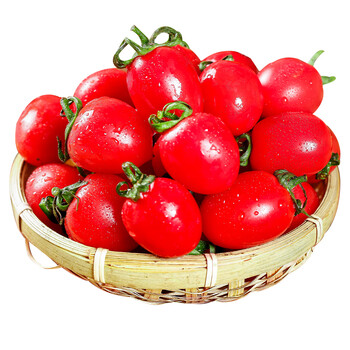 圣女果红番茄西红柿新鲜自然熟孕妇可生吃蔬菜水果小番茄优选8斤