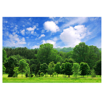 蓝天白云草地树林森林大草原墙贴壁画贴纸自粘背景风景画绿色草坪 图1
