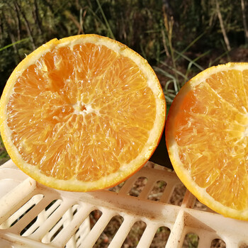 赣南脐橙正宗10斤新鲜水果江西赣州安远县甜橙子20斤60mm含65mm不含