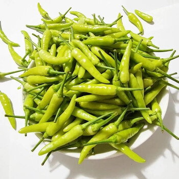 广西新鲜野山椒 白米椒特辣泡椒辣椒产地直发 3斤