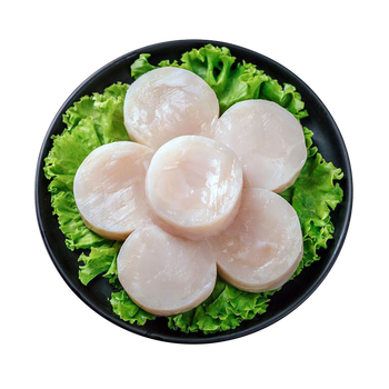 三人港 新鲜速冻 带子  大元贝 冷冻带子肉 大号贝柱 瑶柱肉 250g