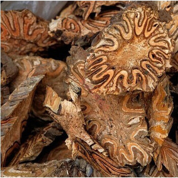 龙骨风大贯众飞天蠄蟧擒罗煲汤料1000克