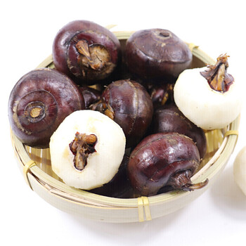 新鲜马蹄荸荠当季水果饽荠马蹄莲马蹄果5斤装