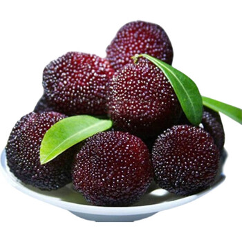 春光岛当季慈溪大山余姚精品荸荠杨梅新鲜黑炭水果现货4斤