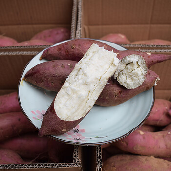 河南老品种爆皮番薯红皮白心板栗红薯干面甜新鲜白瓤地瓜白薯 5斤