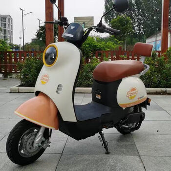 雪辰国标踏板小龟王电动车可上牌大功率男女通用高速代步两轮车轻氧桔