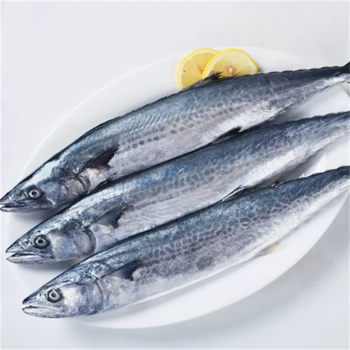 前岔大鲅鱼新鲜鲅鱼整条冷冻青花鱼海鲜马交鱼生鲜礼盒装16斤18斤一条