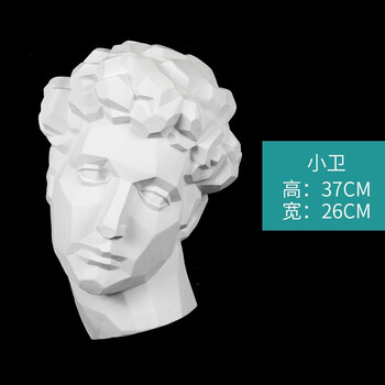 挂面石膏像挂墙人物石膏半面石膏教具唐帆 小卫-切面 37cm