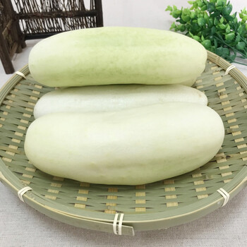 新鲜白黄瓜湖北农家自种白皮老黄瓜生吃旱菜玉瓜应季本地蔬菜5斤 2500