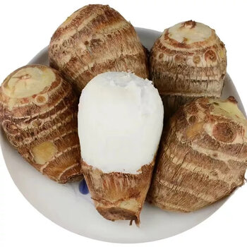 山东牛奶芋头新鲜香糯芋艿当季蔬菜奶香芋艿芋头10斤/1斤 5斤中果(高)