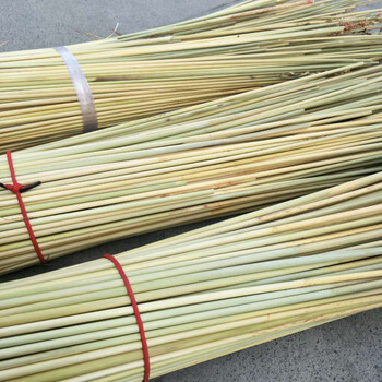花芊茗 高粱杆杆高粱秸秆秫秸手工艺品材料鱼漂浮漂制作材料精品加长