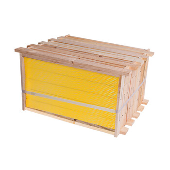 巢础成品巢框装好巢础带框标准蜜蜂蜂箱中蜂巢础框养蜂工具m6