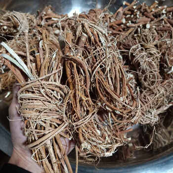 七爪毛桃七子毛桃福建漳州草药七指毛桃根七爪毛桃 细根捆扎浓香500g