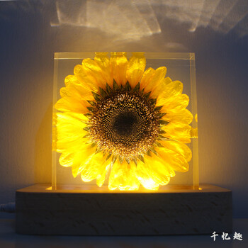 花始向日葵永生花鲜花标本树脂摆件小夜灯饰品桌面工艺品送老师男女友