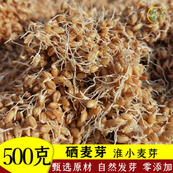 硒麦芽500克天然淮小麦芽有机生麦芽硒搭配五味子硒芽五梅养茶