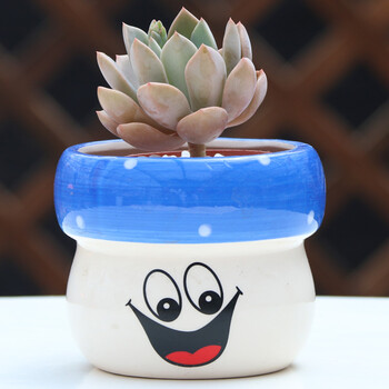 多肉植物陶瓷花盆创意卡通笑脸个性可爱迷你小号彩色种花盆 蓝色 蘑菇